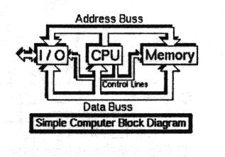 Digital Conversion